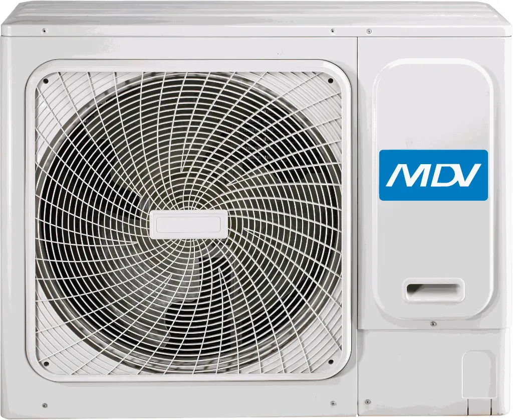 MDV-3.webp
